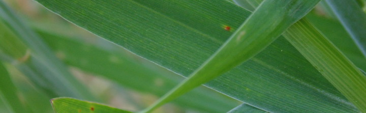 DSC01317