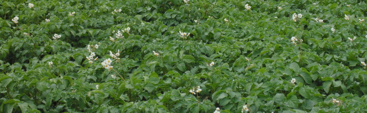 DSC04418