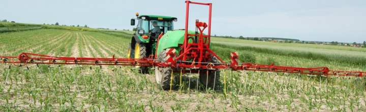 nawożenie kukurydzy makro i mikroelementami