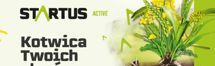 startus