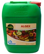 Algex